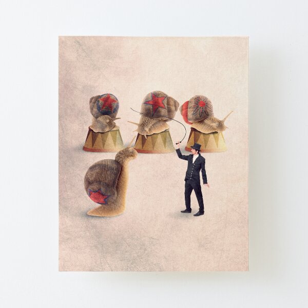 snail print Canvas Mounted Print