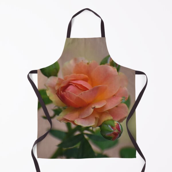 Item preview, Timeless Peach Rose designed and sold by ReneeKennedy.