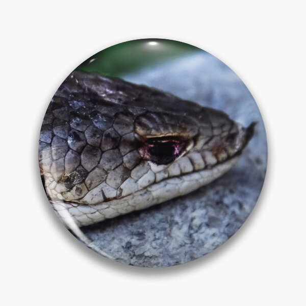 Item preview, Local Lizard designed and sold by heatherfriedman.