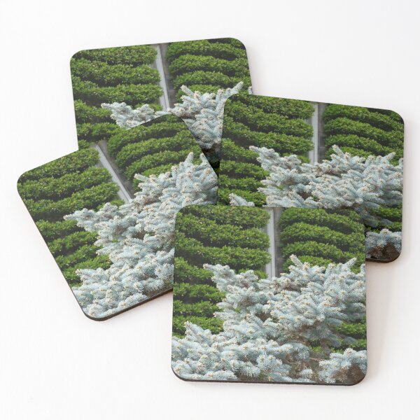 Item preview, Cumulus Bushes designed and sold by David Jordan.