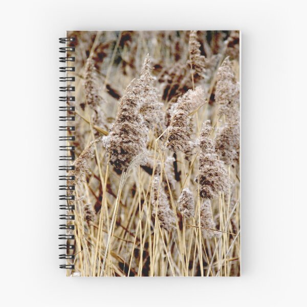 Item preview, Madine lake natural reeds landscape	 designed and sold by EstelleRossetti.