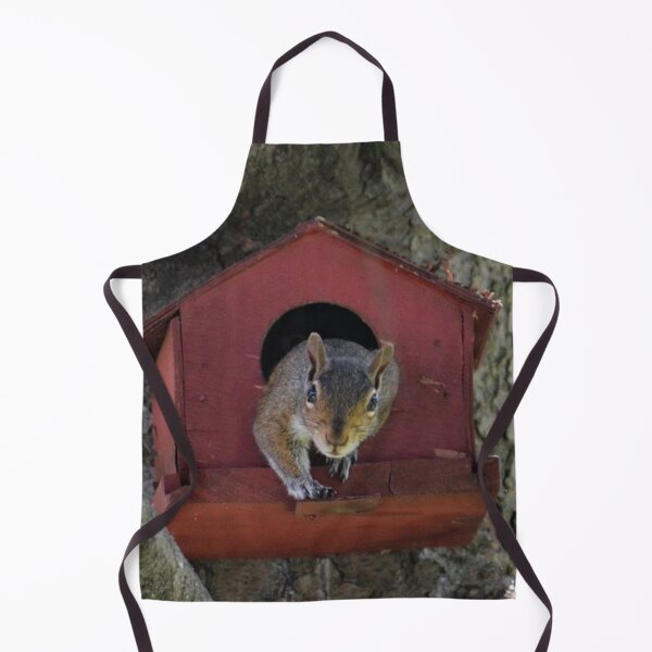 Item preview, The Squirrel in the Birdhouse designed and sold by ReneeKennedy.