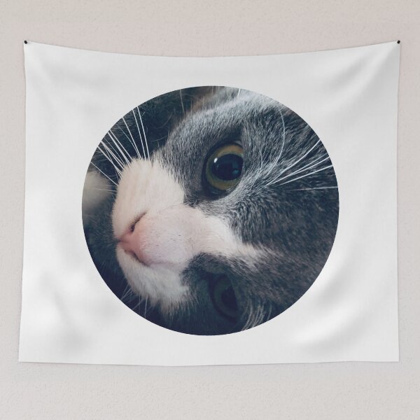Item preview, Playful Cat / Pictures of My Life designed and sold by Nathalie Aynié.