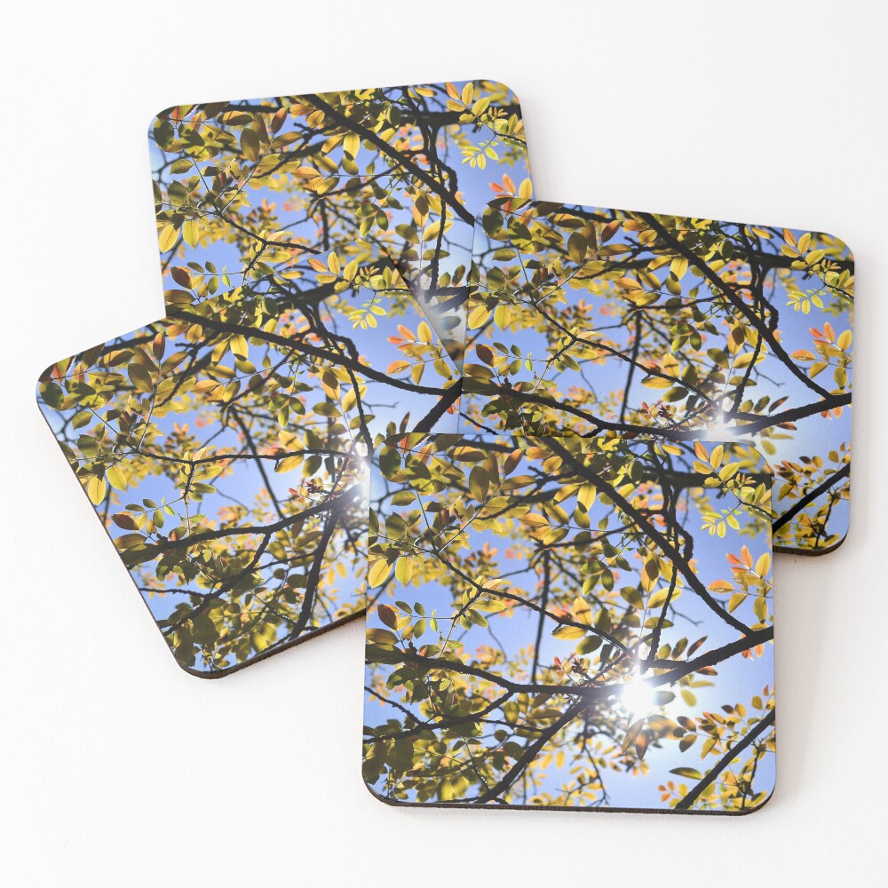 Item preview, Coasters (Set of 4) designed and sold by RufderFreiheit.