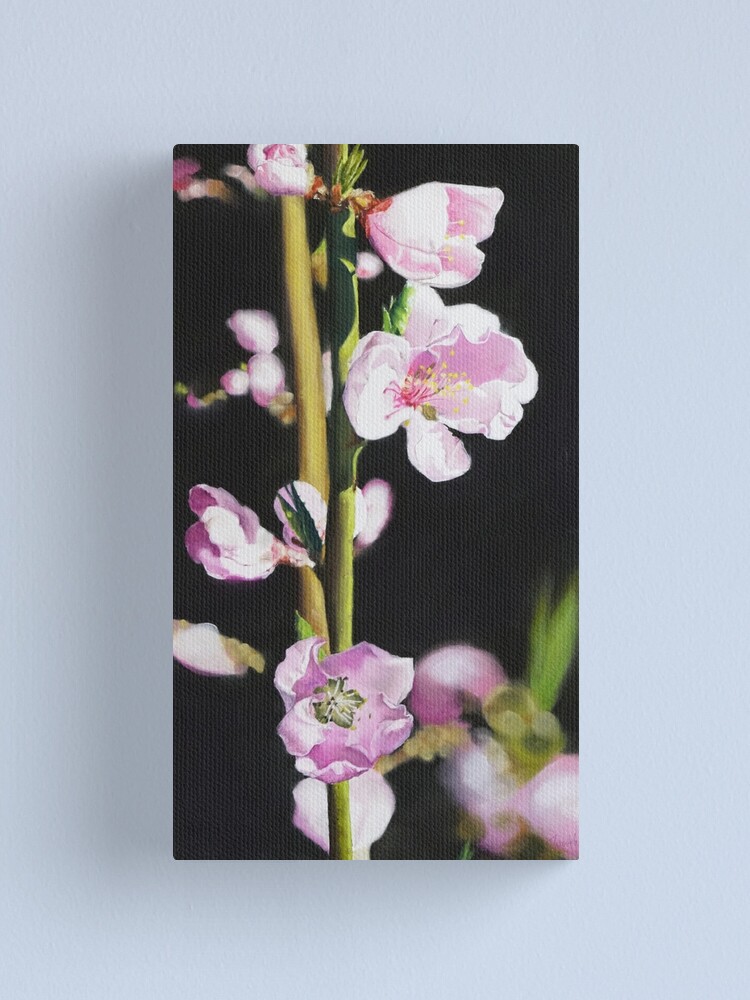 Alternative Ansicht von Nektarinenblüte Leinwanddruck