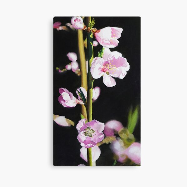 Nektarinenblüte Leinwanddruck