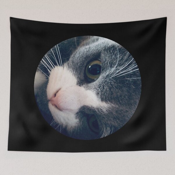 Item preview, Playful Cat / Pictures of My Life designed and sold by Nathalie Aynié.