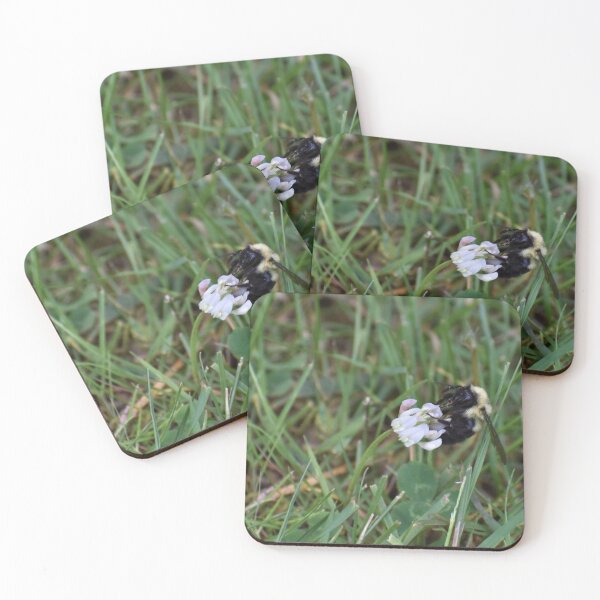 Item preview, hard at work designed and sold by cahphotography.