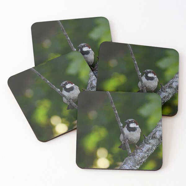 Item preview, shh designed and sold by cahphotography.