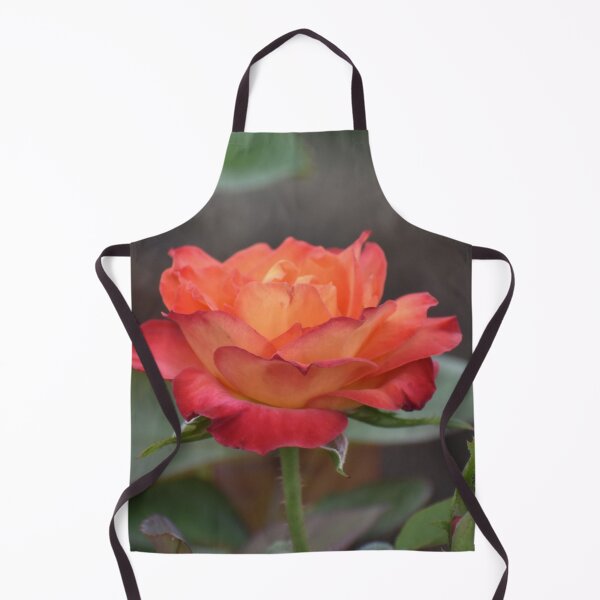 Item preview, The Rose with the Orange Glow designed and sold by ReneeKennedy.
