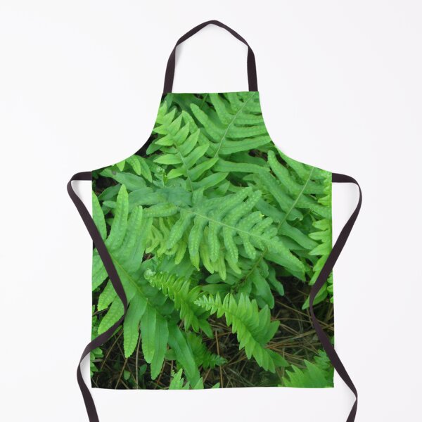 Item preview, Symphony of green ferns Midsland Terschelling designed and sold by patjila.