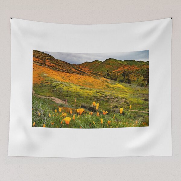 Item preview, California Poppy Field designed and sold by nbrandsberg.