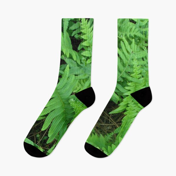 Item preview, Symphony of green ferns Midsland Terschelling designed and sold by patjila.