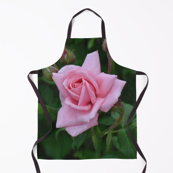 Item preview, Delicate Pink Rose designed and sold by ReneeKennedy.