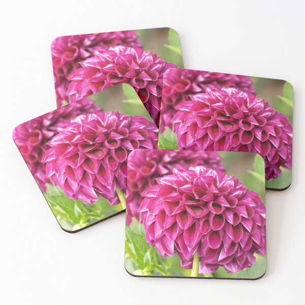 Item preview, Pink Chrysanthemum  designed and sold by Sweetairhead.