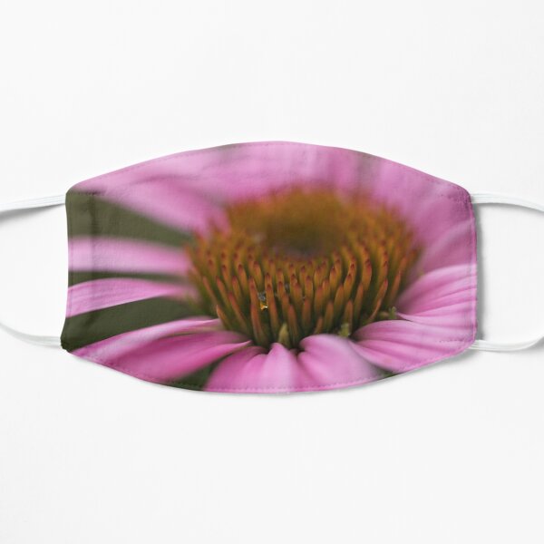 Rosa Coneflower Nahaufnahme Maske