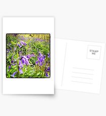 Bluebells in Spring Postcards