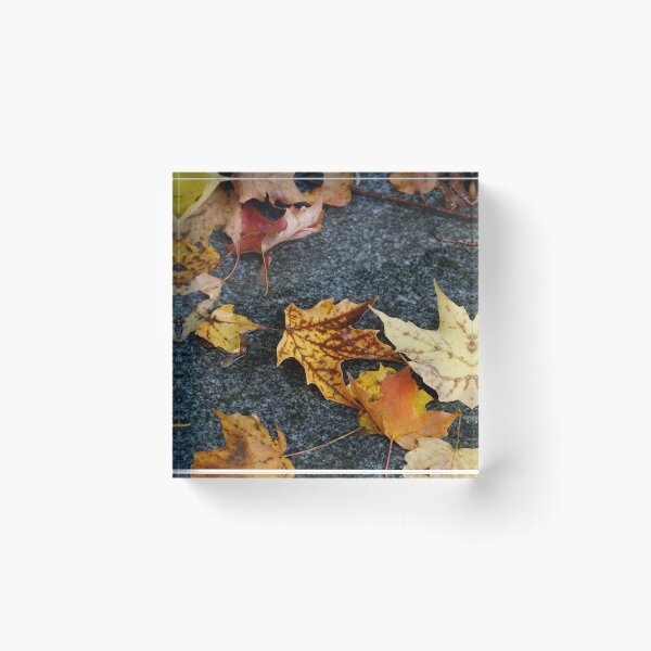 Item preview, Stoned Leaves designed and sold by AGODIPhoto.