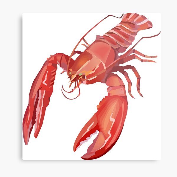 Lobster Illustration Metal Print