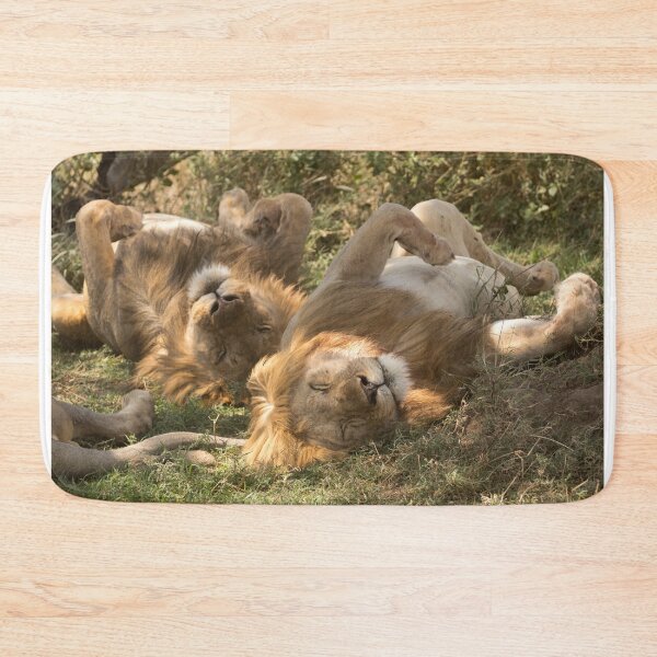 Item preview, Sleepy Lions in the Ngorongoro Crater designed and sold by katevernaphoto.