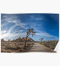 A Mojave Morning Poster
