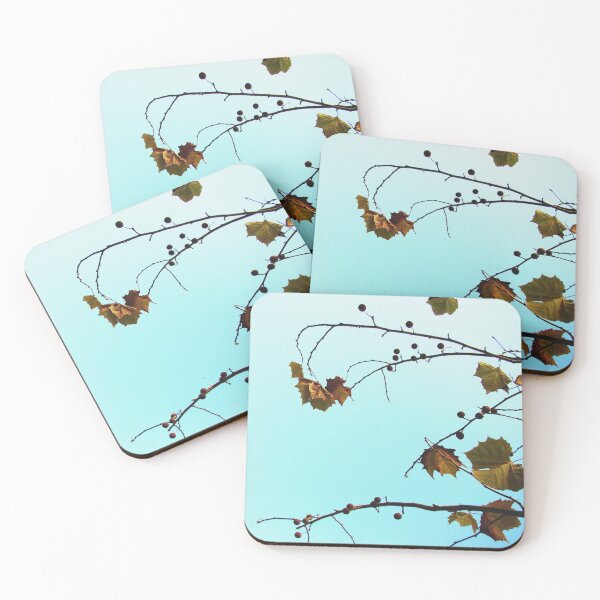 Item preview, Sicomoro designed and sold by AGODIPhoto.