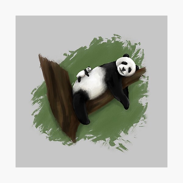 Malen mit Ölpastellkreide Panda Pandabär NEU Tiermotiv 