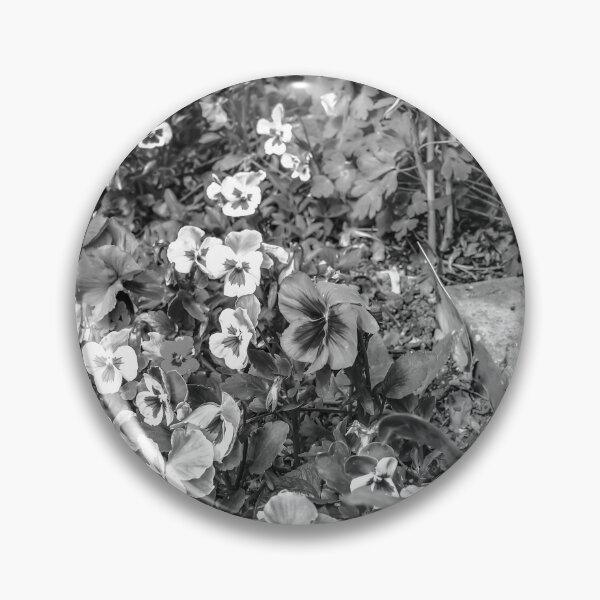 Artikelvorschau, A patch of pansies entworfen und verkauft von yackers1.
