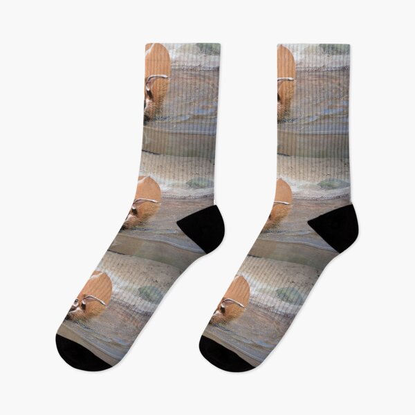 Item preview, Red River Hog designed and sold by Savannah Gibbs.