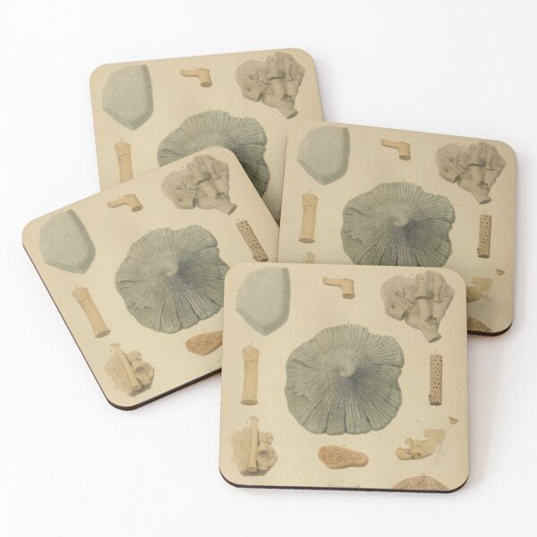 Item preview, Coral Fossils designed and sold by BlueSpecsStudio.