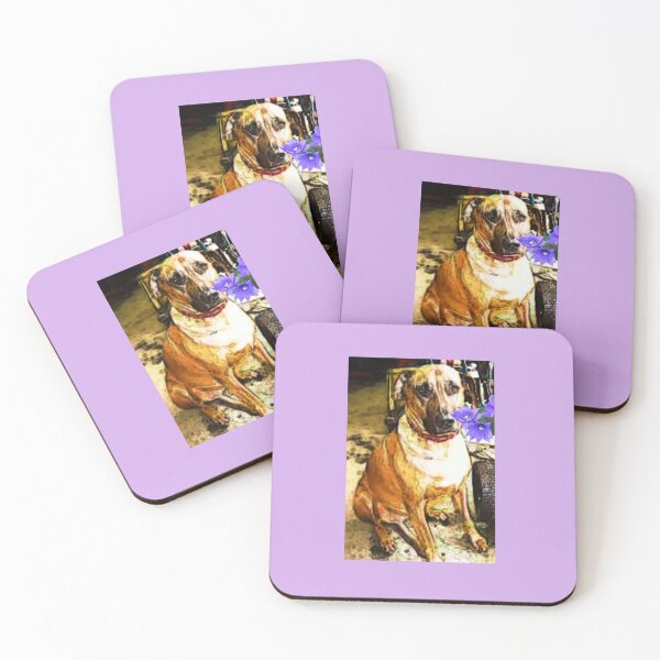 Item preview, Barn dog floral designed and sold by Aquila Light Pictures.
