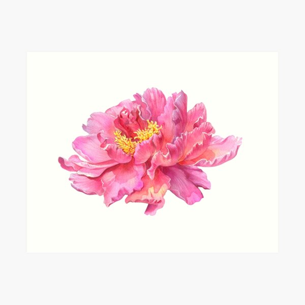 Item preview, Pink Peony - Spring Flower in Bloom designed and sold by Anna Bucciarelli.