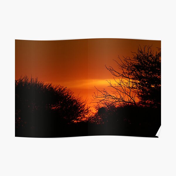 African Sunset #6 Poster