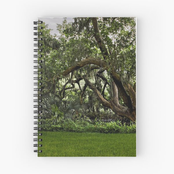 Item preview, Habersham Plantation Tree designed and sold by nbrandsberg.