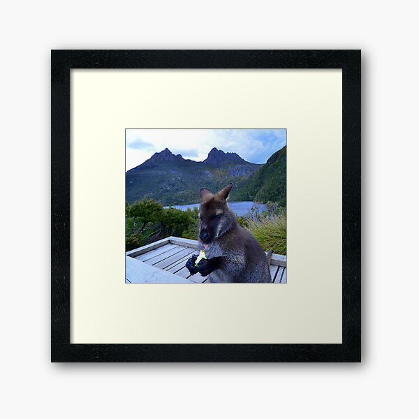 Wallaby Tongue Framed Art Print