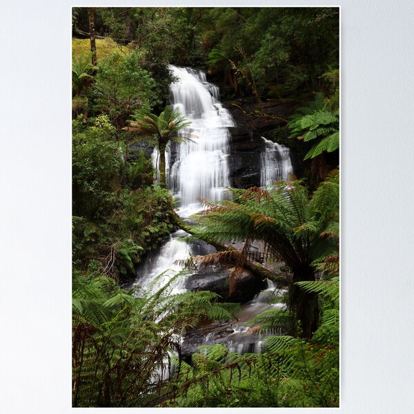 Item preview, "Rainforest Cascade" designed and sold by jonxiv.