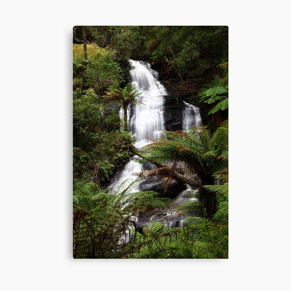 "Rainforest Cascade" Canvas Print