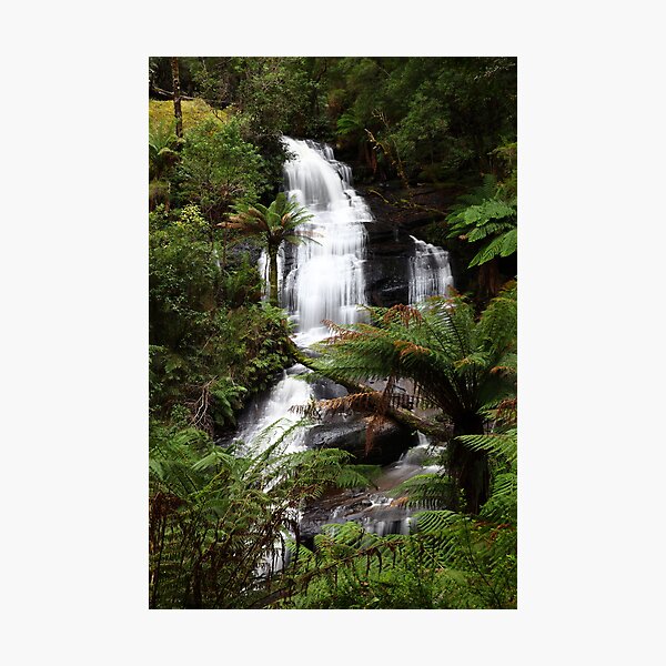 "Rainforest Cascade" Photographic Print