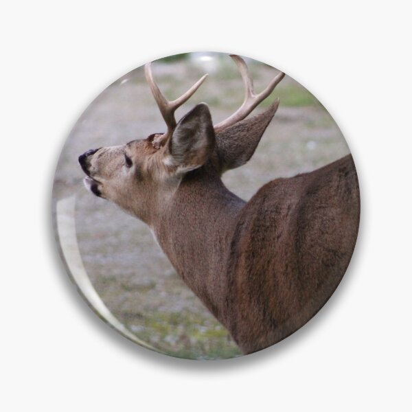 Item preview, The Rutting Season designed and sold by RichImage.
