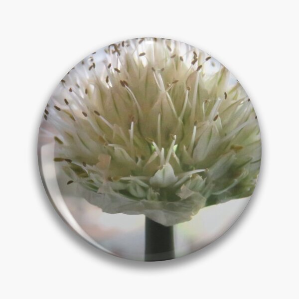 Item preview, spring onion flower head designed and sold by Sandra Willis.