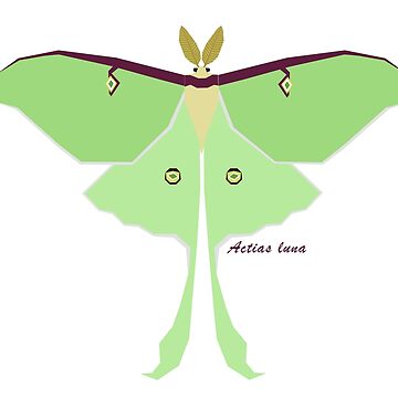 Luna Moth Geometric shops Artwork