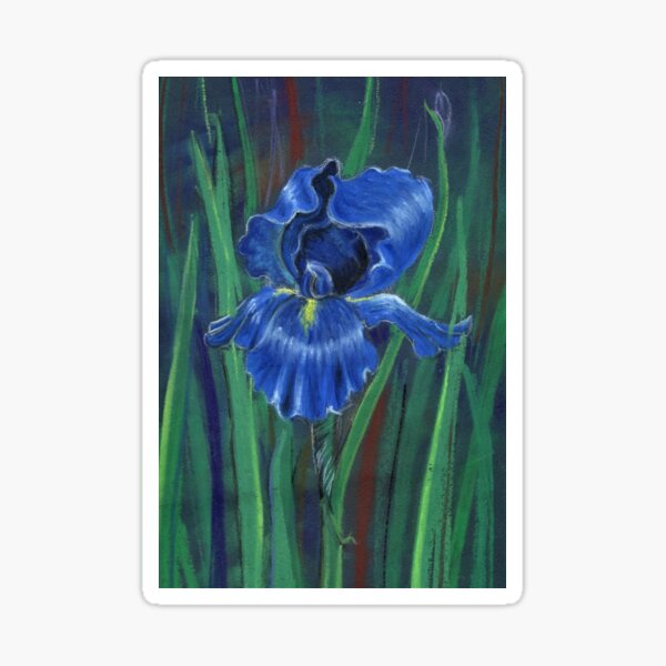 BLUE IRIS Watercolour Flower Print, Original Botanical Flower Painting,  Nature Inspired Gift, Indigo and Cobalt Blue Flowers, Wall Art Decor -   Canada