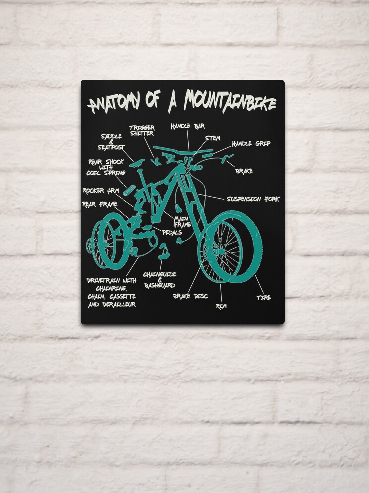 Bike best sale anatomy mtb