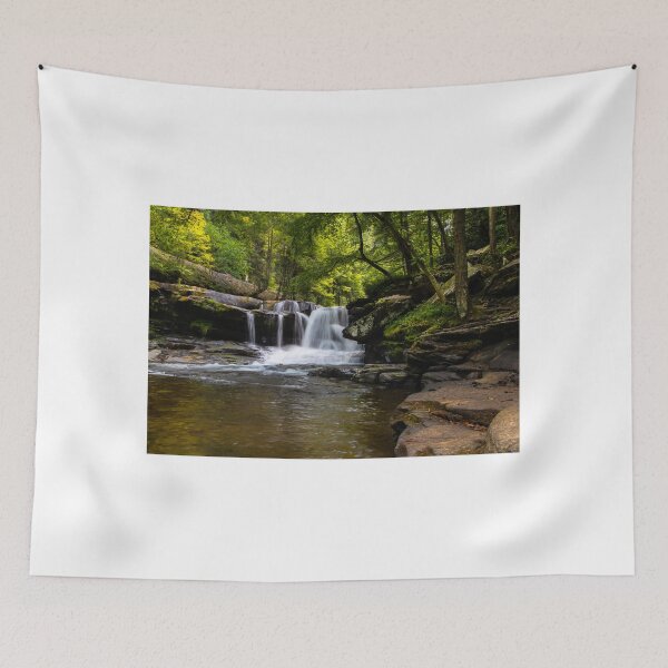 Item preview, Dunloup Creek Waterfall designed and sold by nbrandsberg.