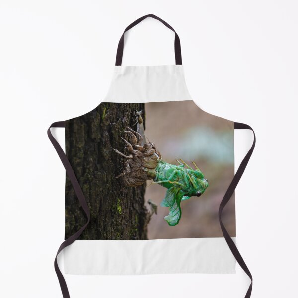 Item preview, Annual Cicada Molting designed and sold by nbrandsberg.