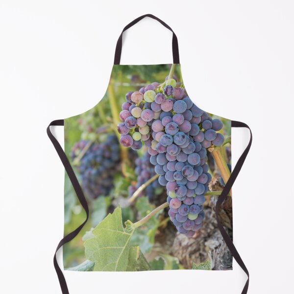 Item preview, Okanagan Vineyard Red Wine Grapes designed and sold by Amy Mitchell.