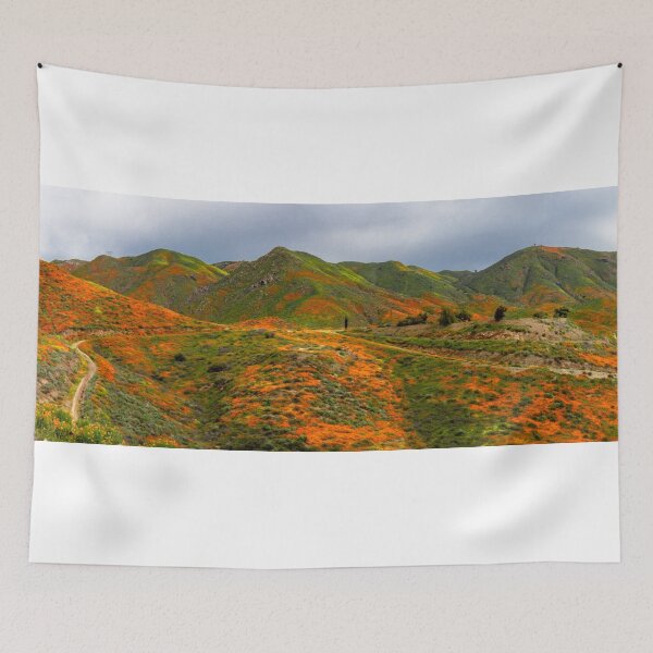 Item preview, Lake Elsinore Poppies designed and sold by nbrandsberg.