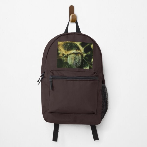 Item preview, Tarantula face designed and sold by Mike Colwill.
