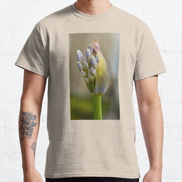 Regalos y productos: Agapanthus De Pared | Redbubble