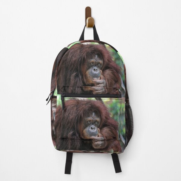 Item preview, The Orangutan designed and sold by Savannah Gibbs.